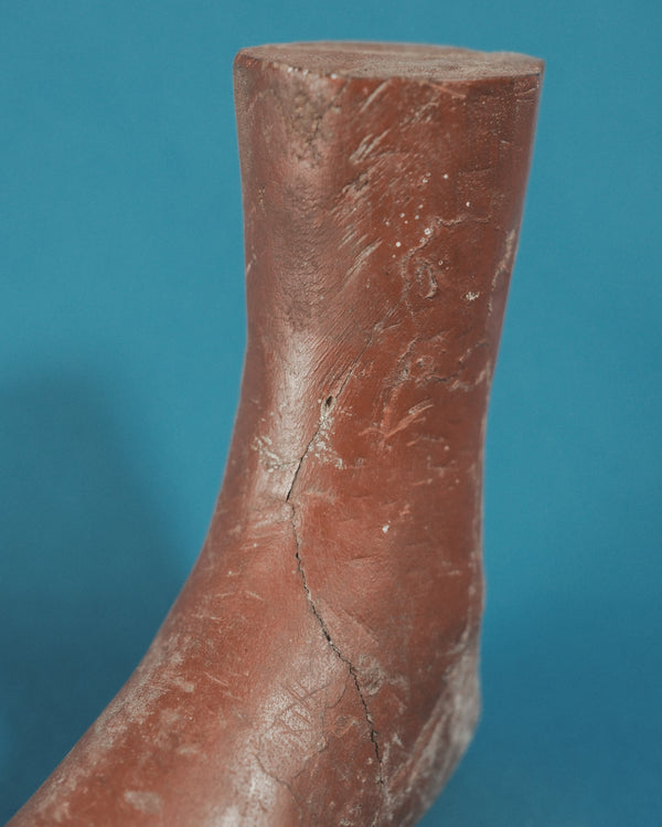 Ex-Voto (Foot Sculpture)