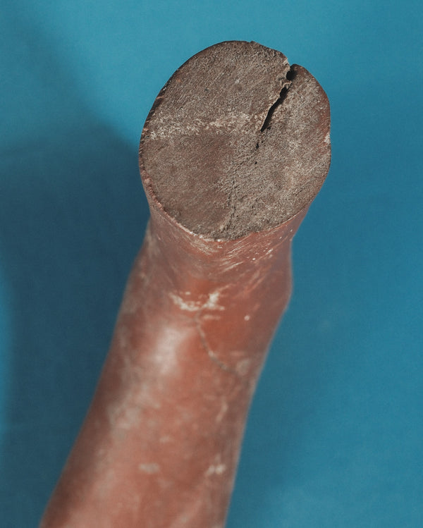 Ex-Voto (Foot Sculpture)