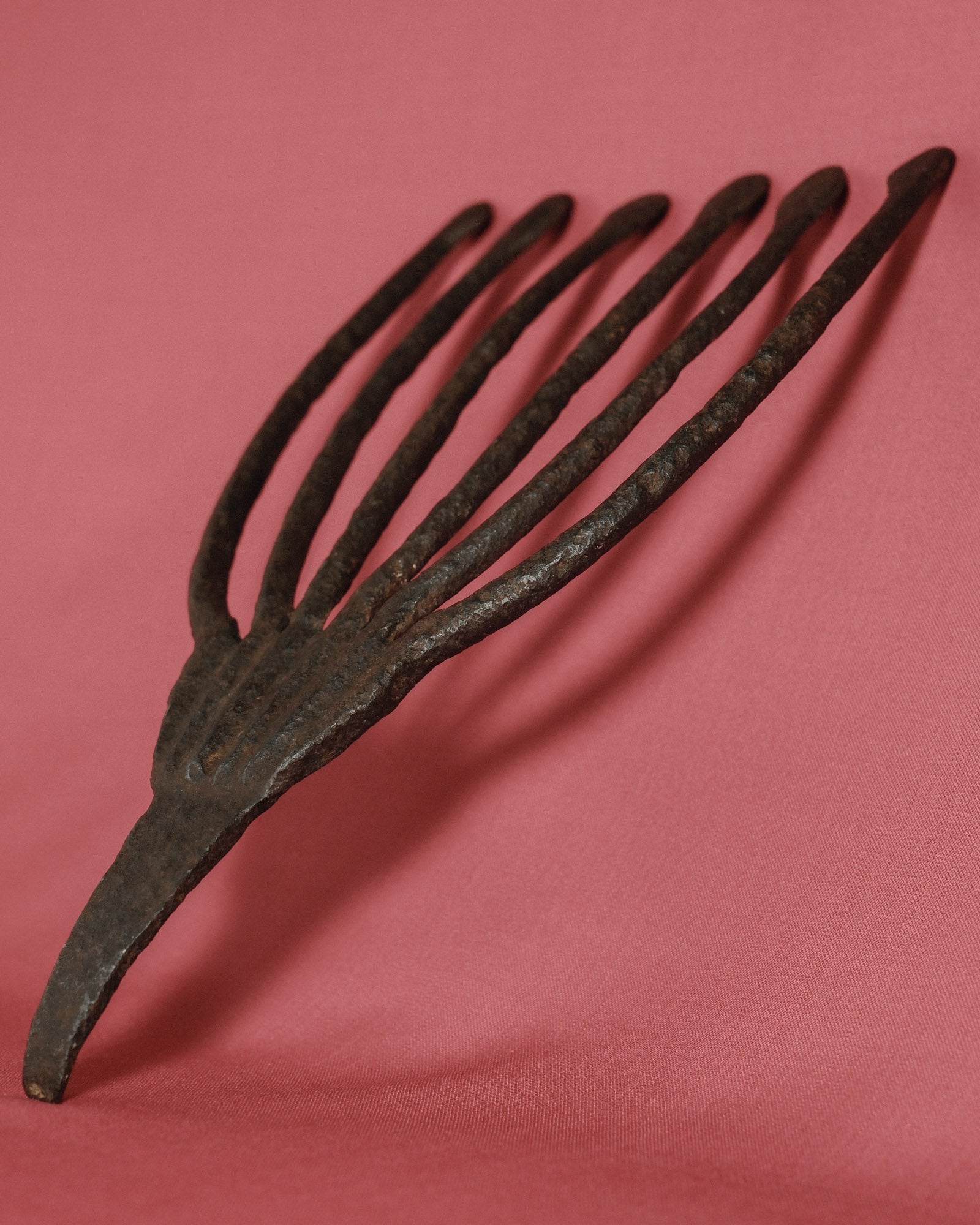 Eel Fork