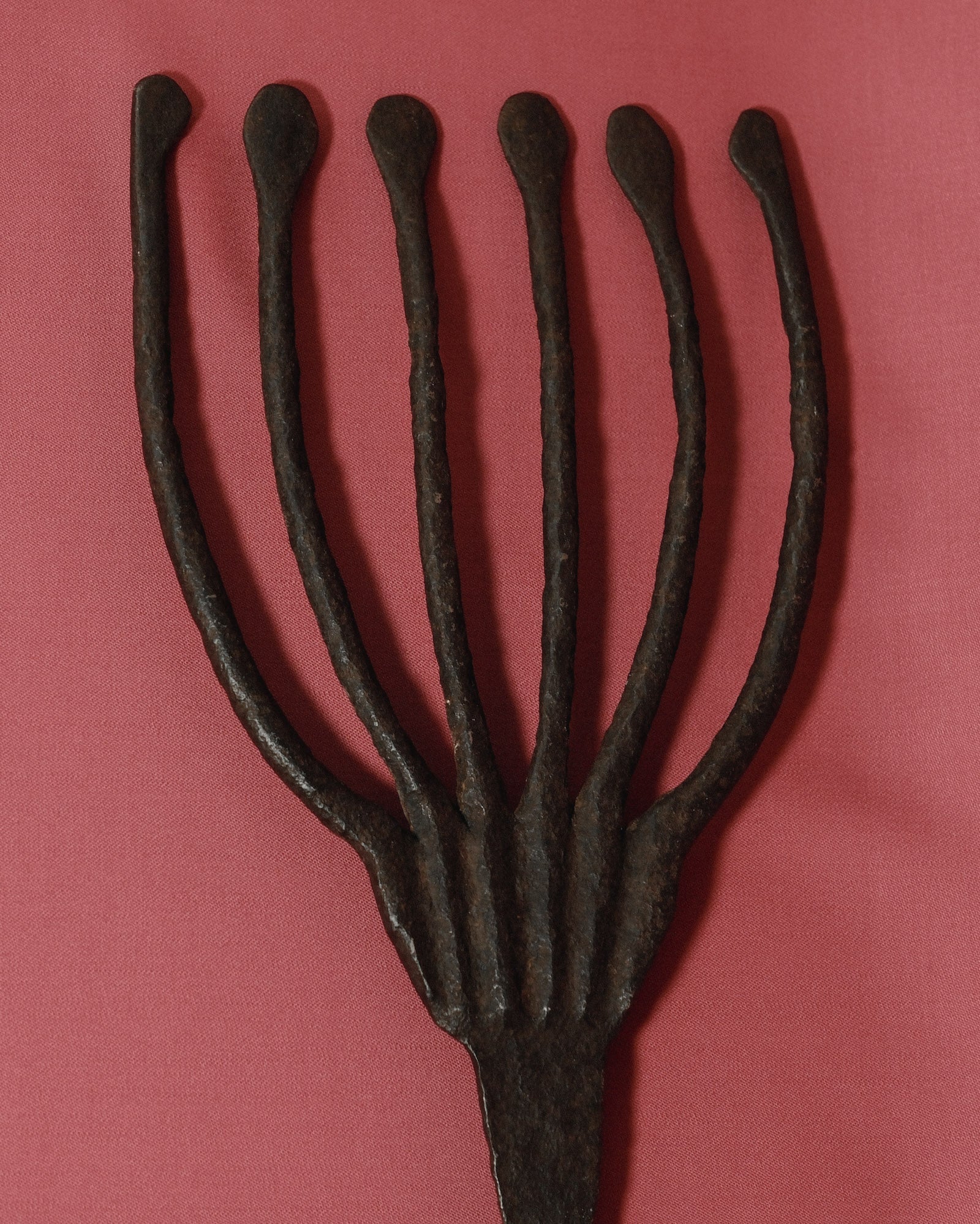 Eel Fork