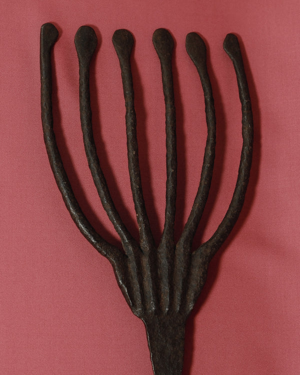 Eel Fork