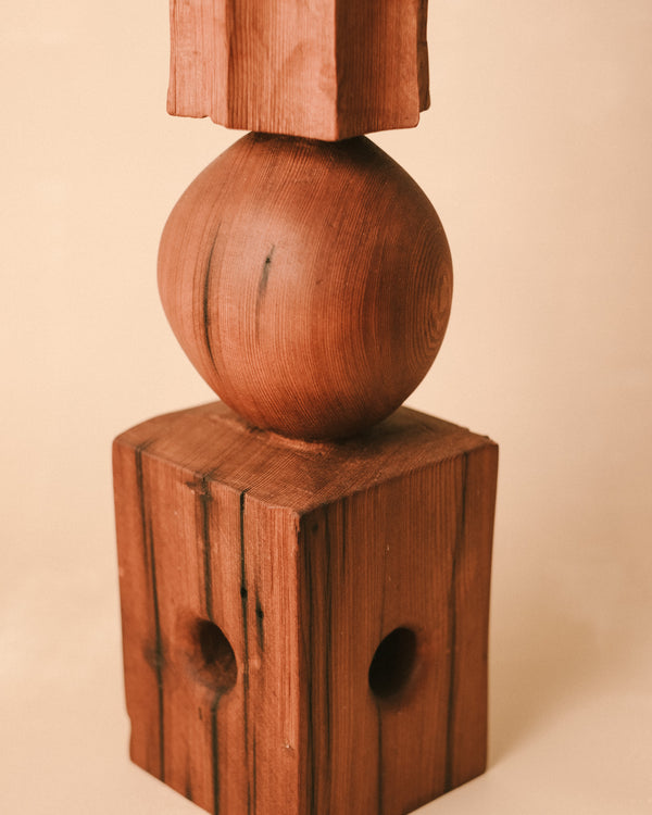 Sentinel Study 04