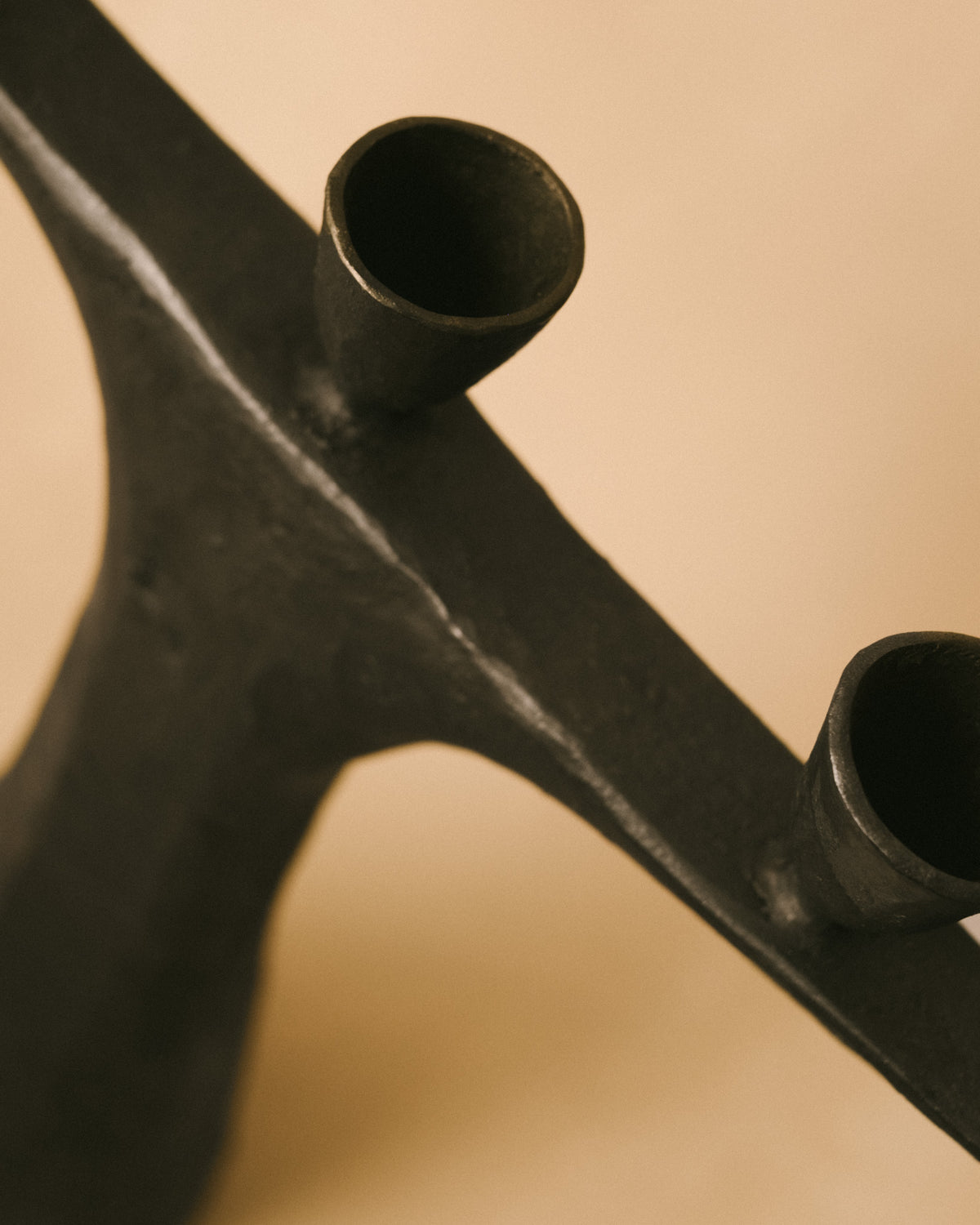 Branching arms of Agnieszka Owsiany's Candle Holder Large IV, close-up detail