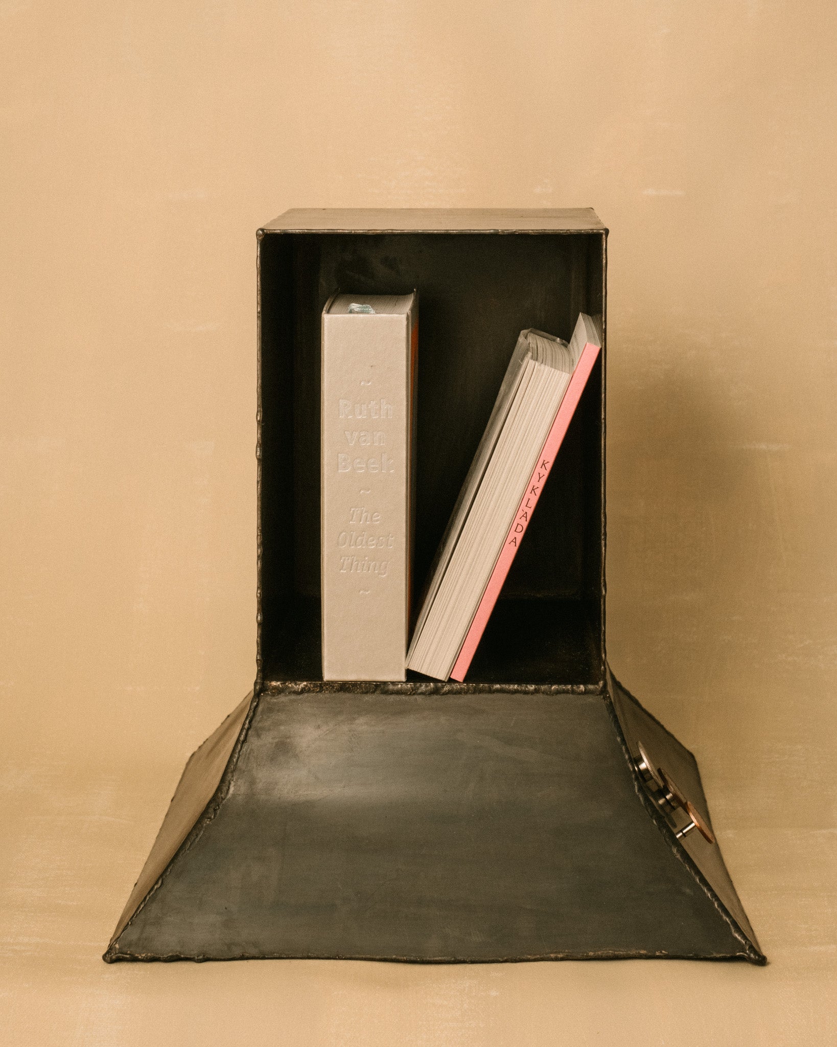 Hannah Kuhlmann Eternal Elder Vitrine, patinated steel display case framing a single sculptural object, front view