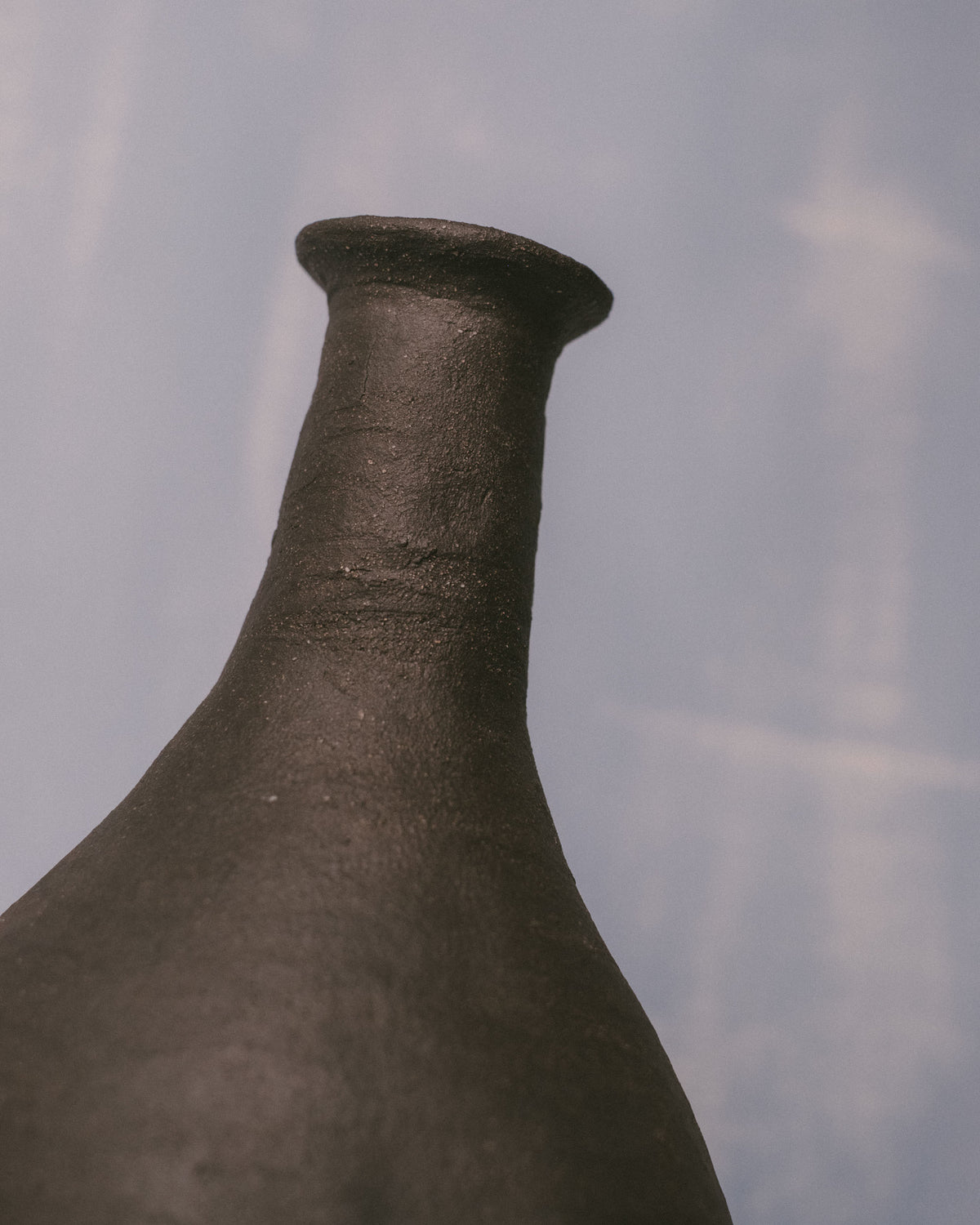Elongated neck of Kasia Sznajder's Necked Vessel I, side profile