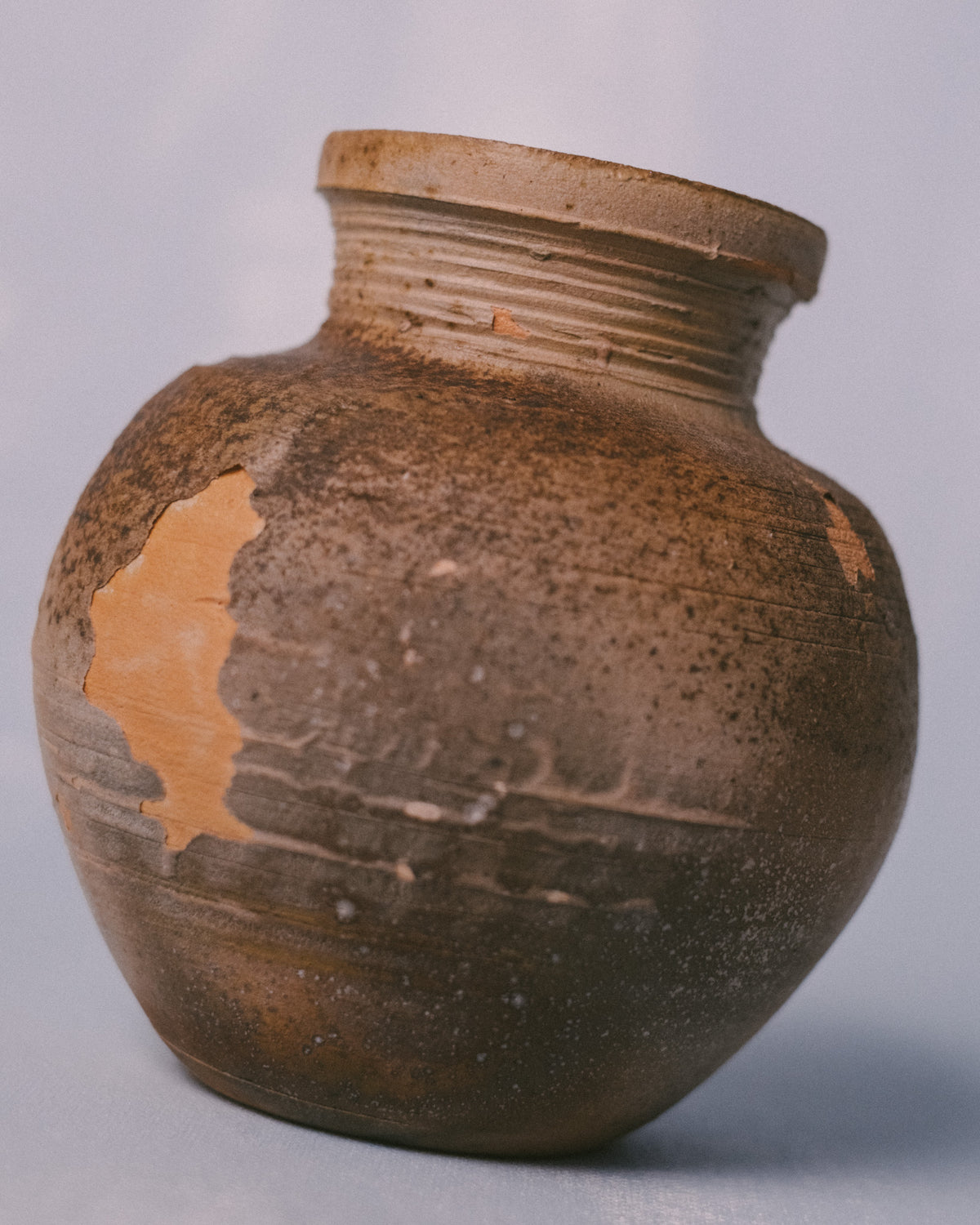 Close-up of wood-fired surface texture, Bizenyaki vase medium by Sharlen Nozawa