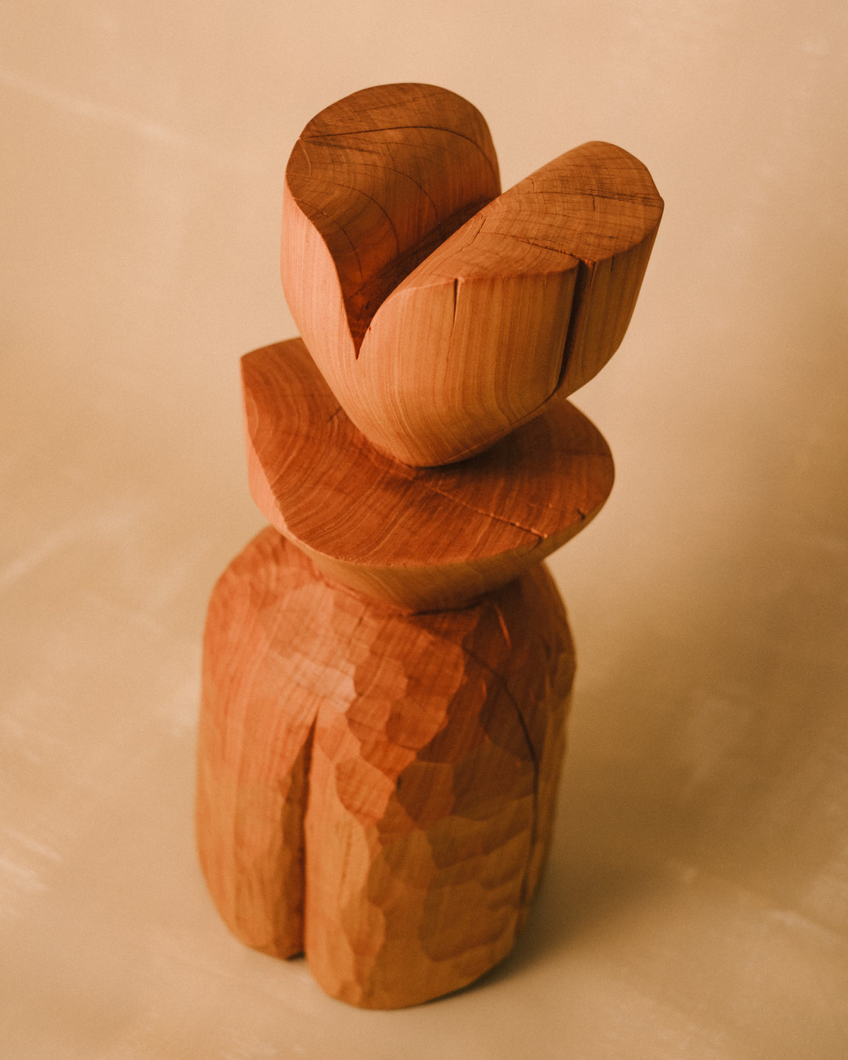 Carved back detail of Vince Skelly's Sentinel Study 02, timber grain